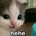 hehe