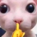 bongus Discord emoji