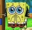 spong
