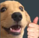 doggy