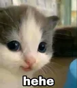 SG_Hehe