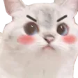 catBaka
