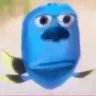 DBstare
