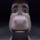 brocomeon brocomeon