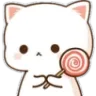 gato_fofo