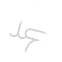 wleft