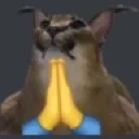 Floppapray