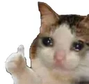 SadCatAgree