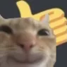 yescat