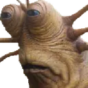 slugfrown