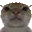 kledlane kledlane