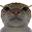 kledlane