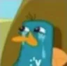 R_Perry_Triste R_Perry_Triste