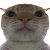 kledlane