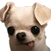 fumky