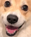 einHappy Discord emoji