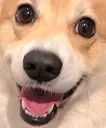 einHappy