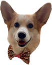 einClassy Discord emoji