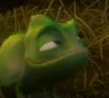 aa_smugpascal Discord emoji