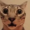 omg