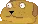 dogstare
