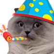 loeyaPARTY loeyaPARTY