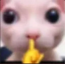 cat_shush