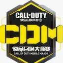 ChineseCODM