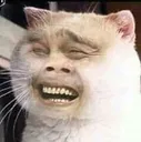 CatKek