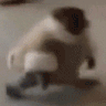 BKN_monkewalk Discord emoji