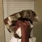 moneyyy