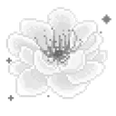 Whiteflower