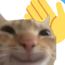 wavecat wavecat