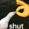 stfu
