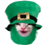 stpattyhappycat Discord Emoji