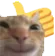 yescat