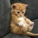 sad