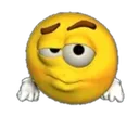 susNesq