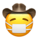 mask_cowboy Discord emoji
