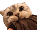 LIPASTIK