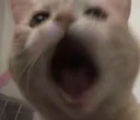 ahh