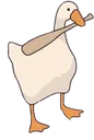 mewhentwk
