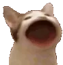 bestmeme