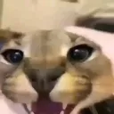 Angry2 Angry2