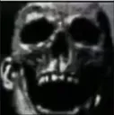 skull