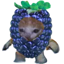 neonblue Discord Emoji