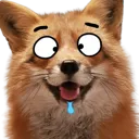 DroolDerp