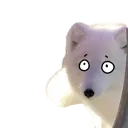 ArcticPeek