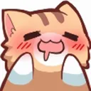 KittyDrool
