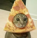 piza